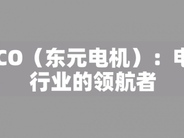 TECO（東元電機）：電機行業的領航者
