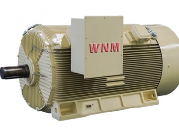 Y2系列高壓三相異步電動機