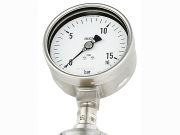 DSS19F符合EN837-1標準的壓力表，帶隔膜密封