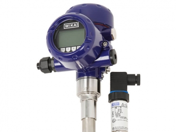 DMS27帶法蘭連接的隔膜密封監控系統