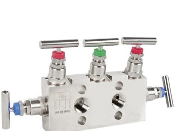 IV30, IV31, IV50, IV51閥組