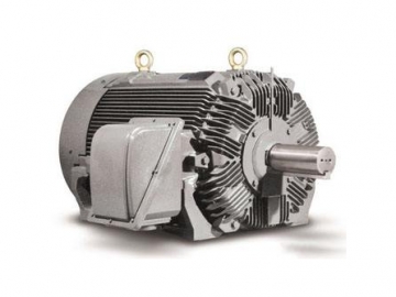 NEMA電機 DESIGN A,B,C,D的區別