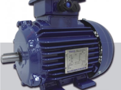 AEEV3N超高效三相異步電機（MODEL:TEV3）