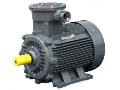 Exd IIBT4/Exd IICT4 型電機