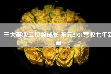 三大事業二位數成長 東元2021營收七年新高