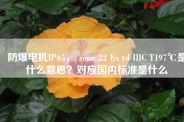 防爆電機IP65， zone 22 Ex td IIIC T197℃是什么意思？對應國內標準是什么