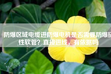 防爆區域電纜進防爆電機是否需要防爆撓性軟管？直接進線，有依據嗎