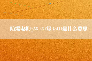 防爆電機ip55 b3 f級 ic411是什么意思