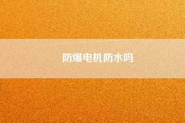 防爆電機防水嗎