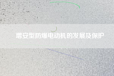 增安型防爆電動機的發展及保護