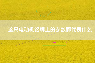這只電動機銘牌上的參數都代表什么