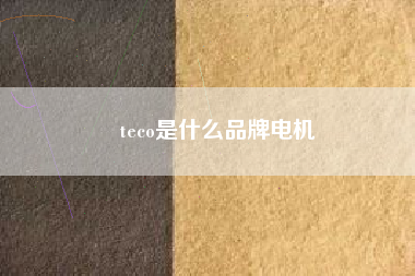 teco是什么品牌電機