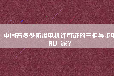 中國有多少防爆電機許可證的三相異步電機廠家？