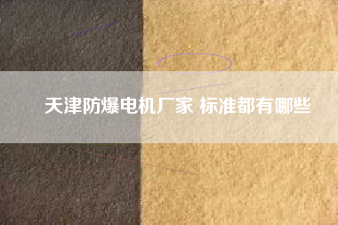 天津防爆電機廠家 標準都有哪些