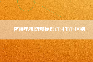 防爆電機防爆標識CT4和BT4區別
