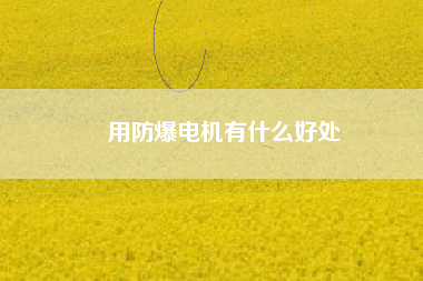 用防爆電機有什么好處