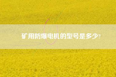 礦用防爆電機的型號是多少?